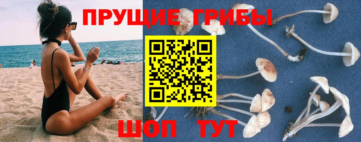 Галлюциногенные грибы прущие грибы  Вход с VPN  Сыктывкар  Галлюциногенные грибы мицелий 